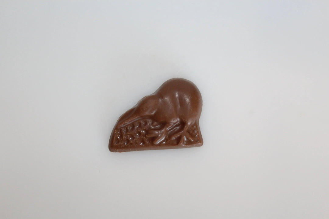 Mini Chocolate Kiwi