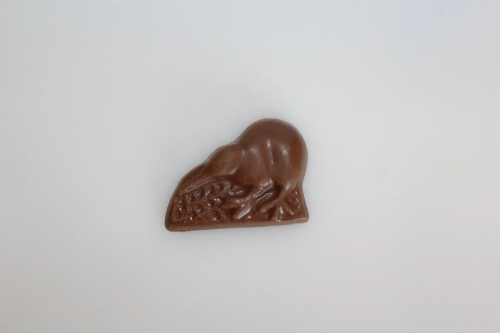 Mini Chocolate Kiwi